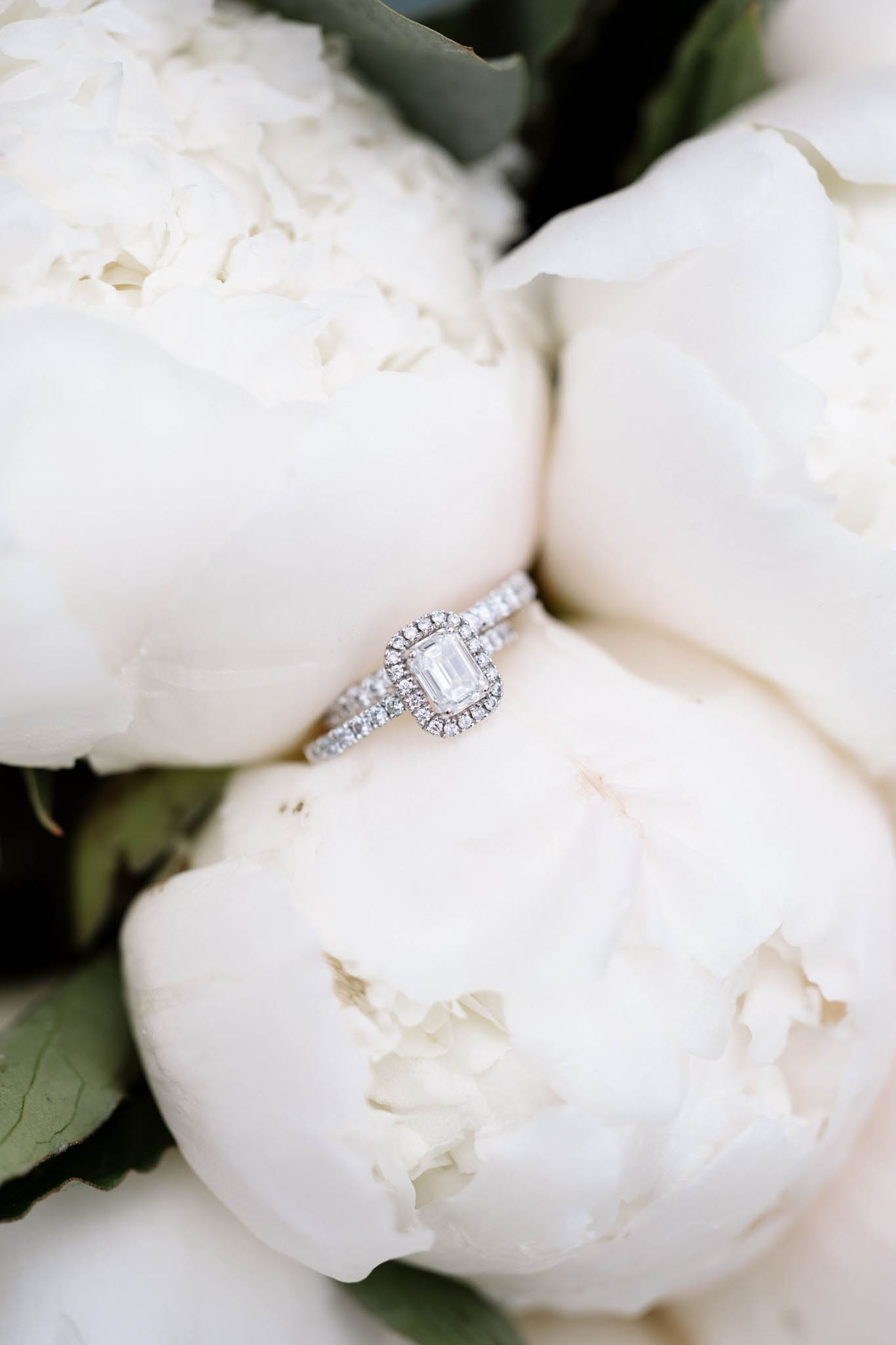 Amour Etc. portfolio 17