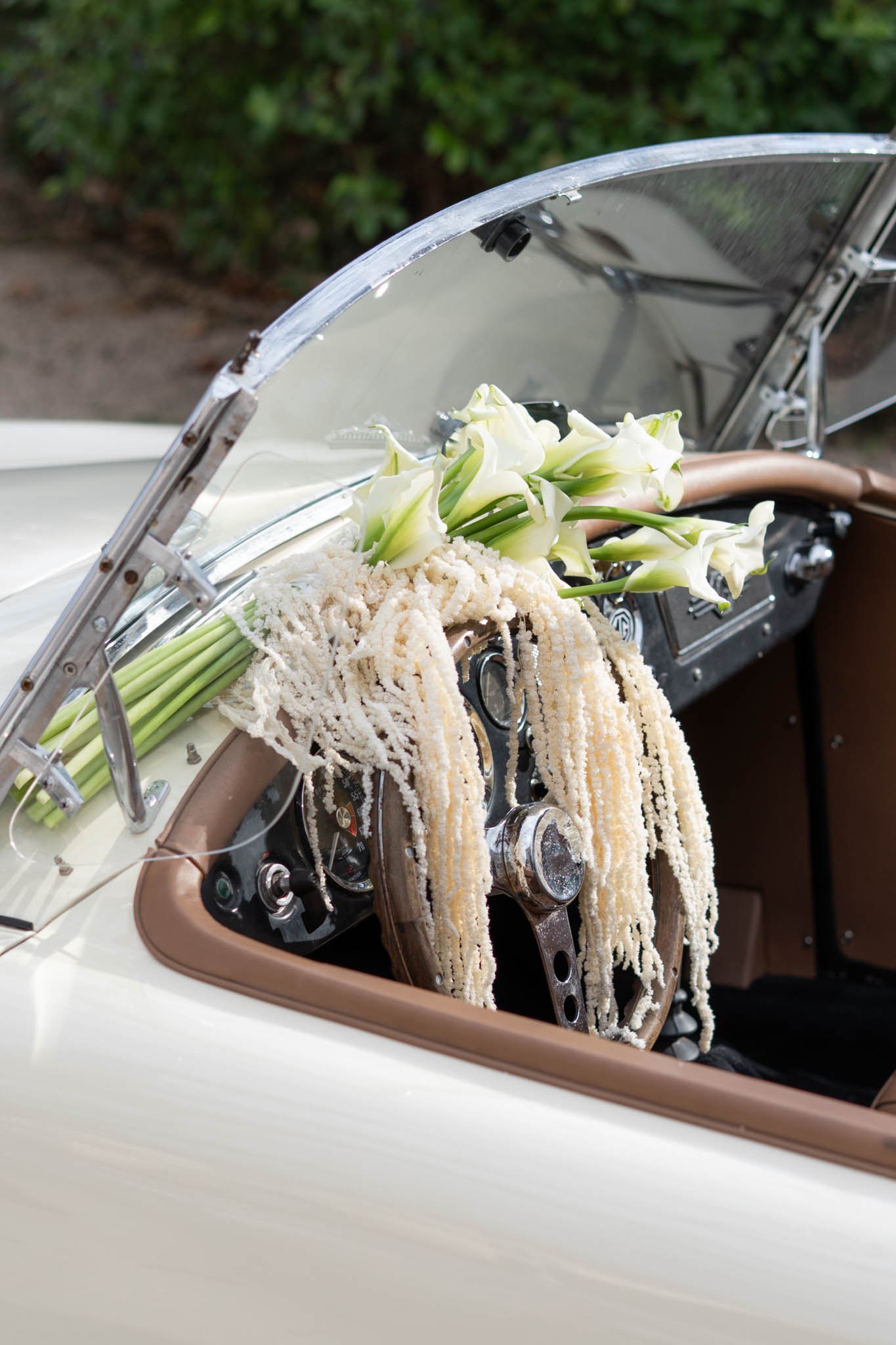 Gioia Visuals portfolio 7