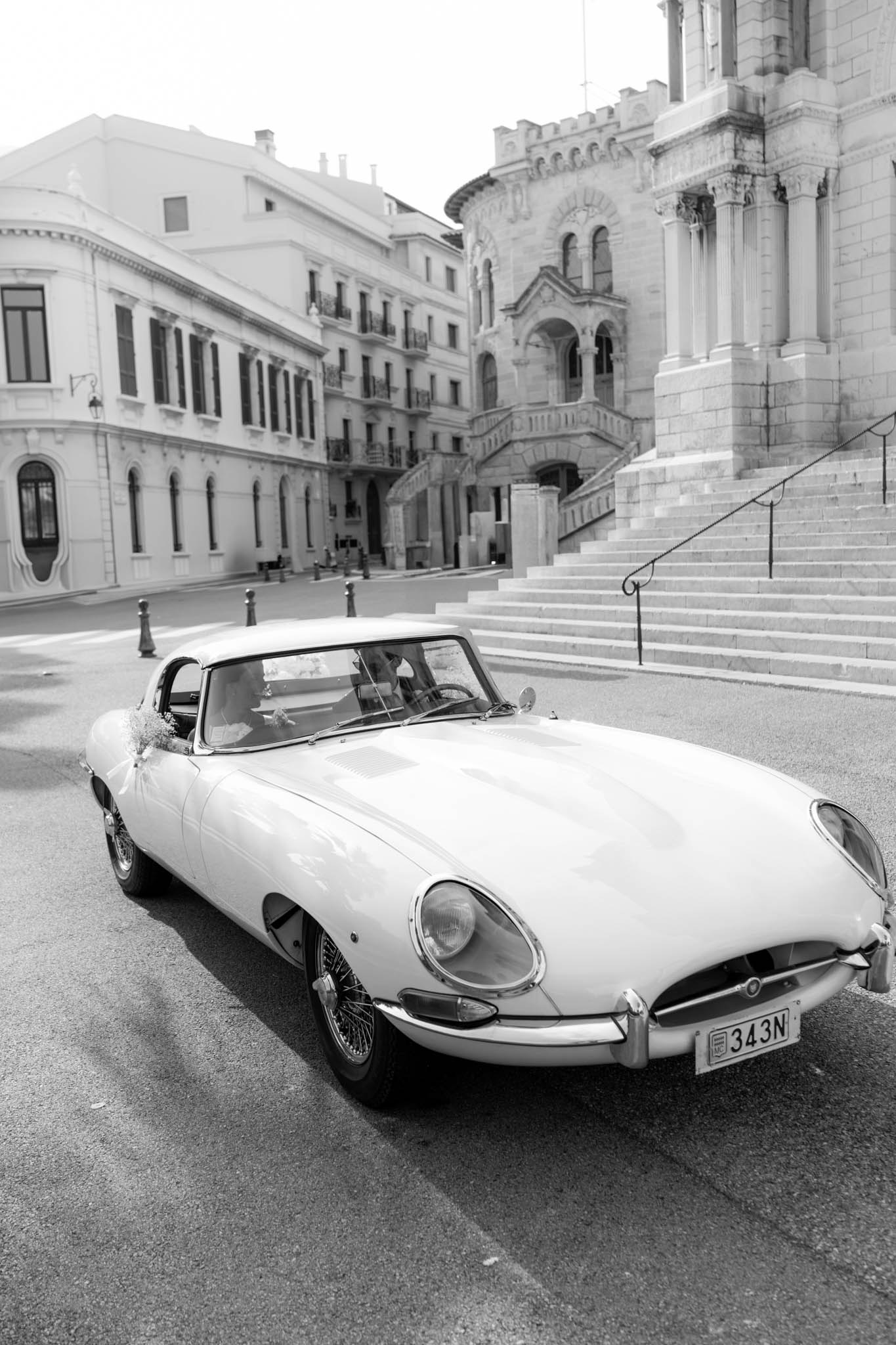 Gioia Visuals portfolio 27