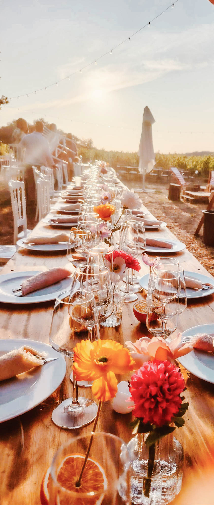 Poppy Bloom portfolio 5