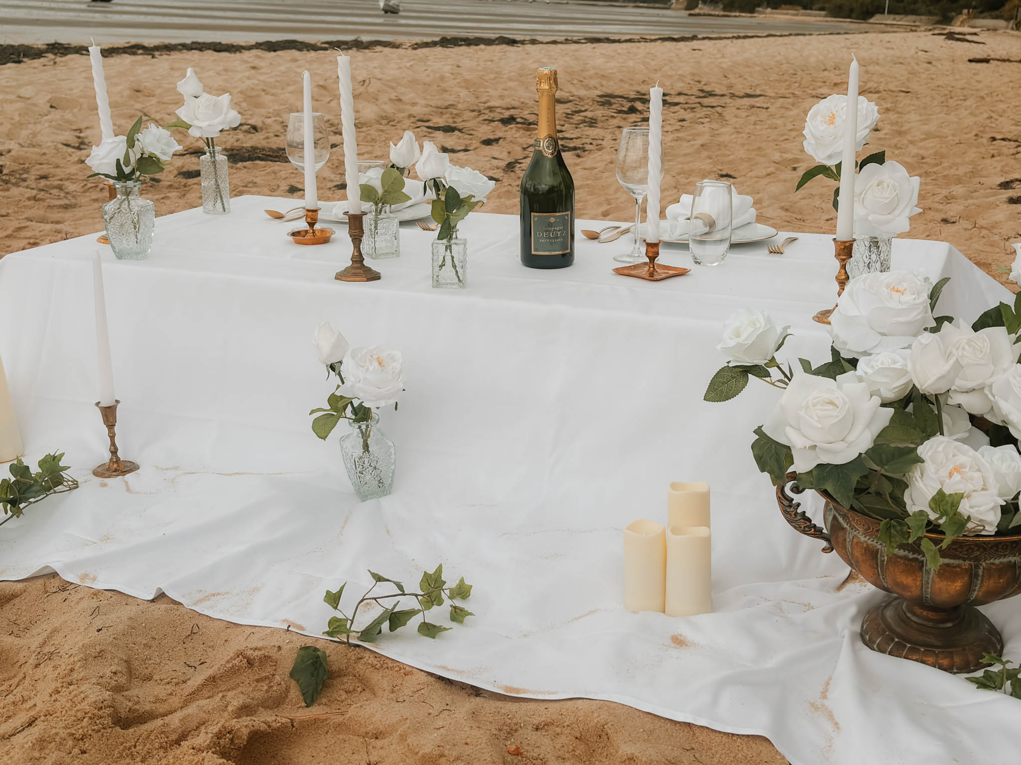 Poppy Bloom portfolio 6