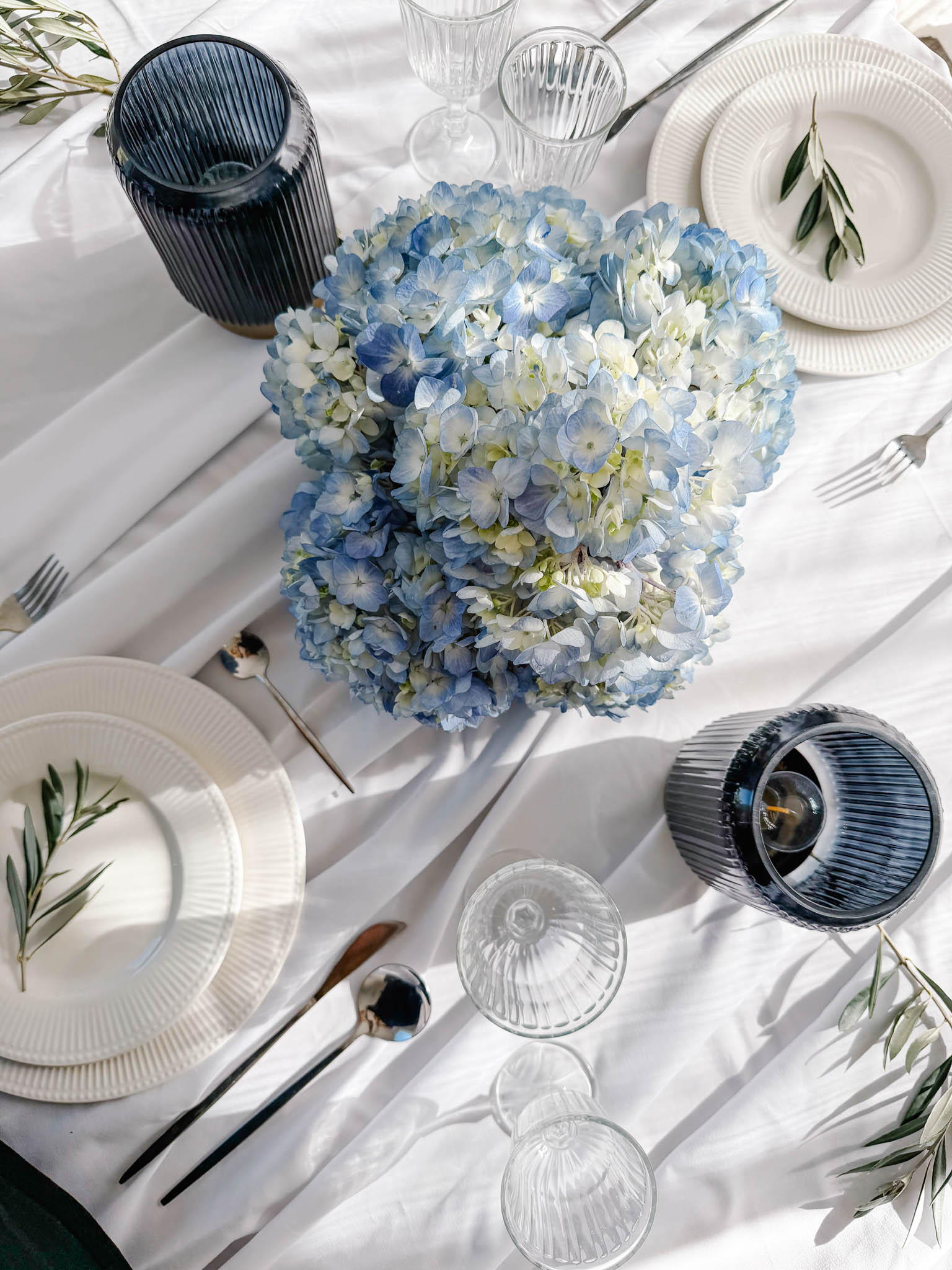 Poppy Bloom portfolio 12