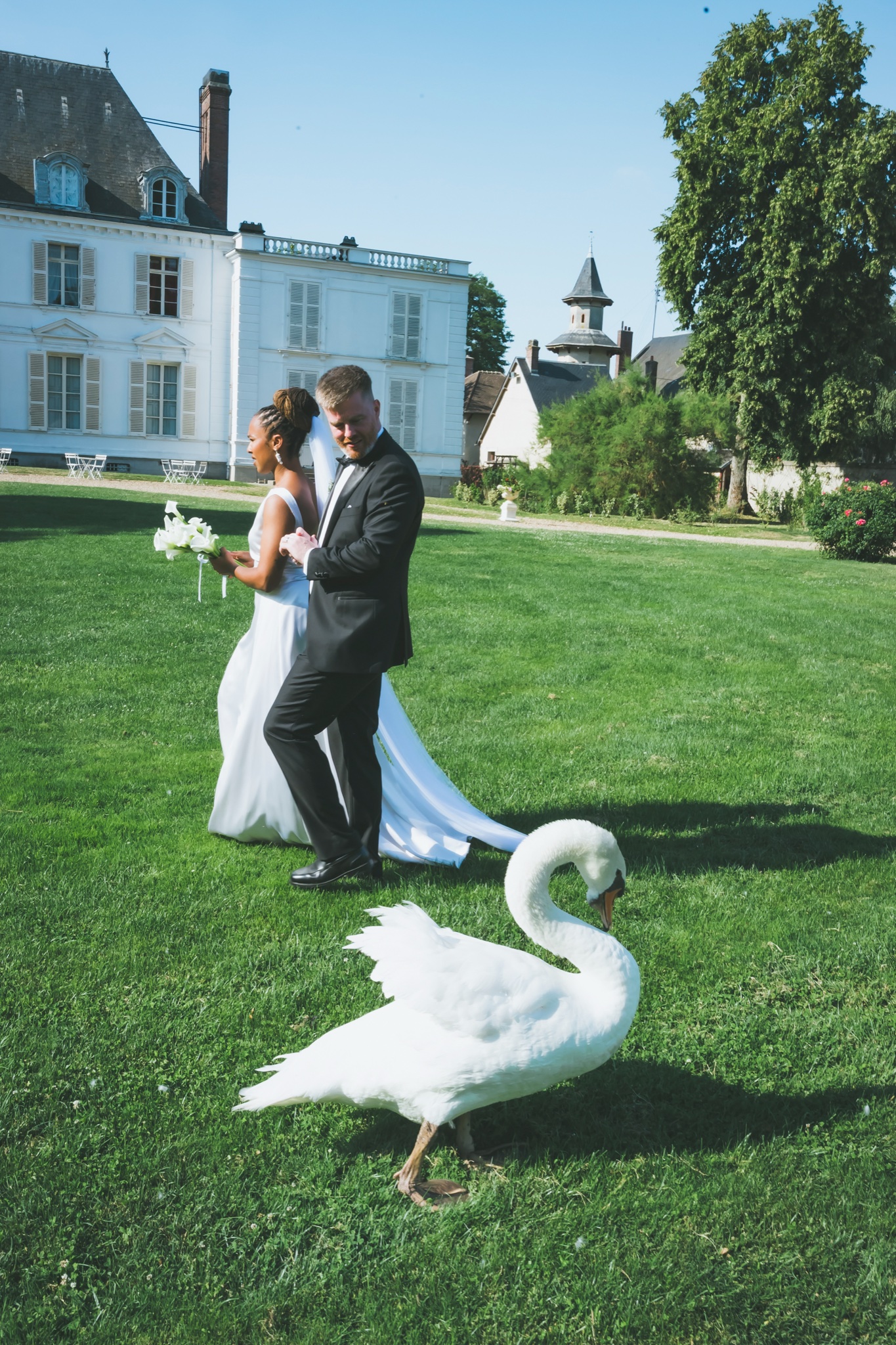 Something French portfolio 8